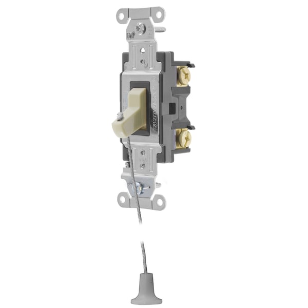 Hospital Call Switch, Toggle Switches, General Purpose AC, Single Pole, 20A 120/277V AC, Back and Side Wired, With Lanyard